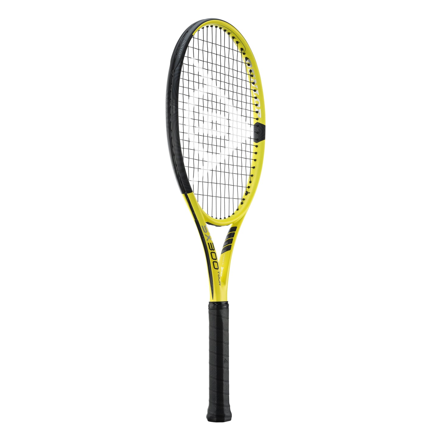 SX 300 TOUR (2022)