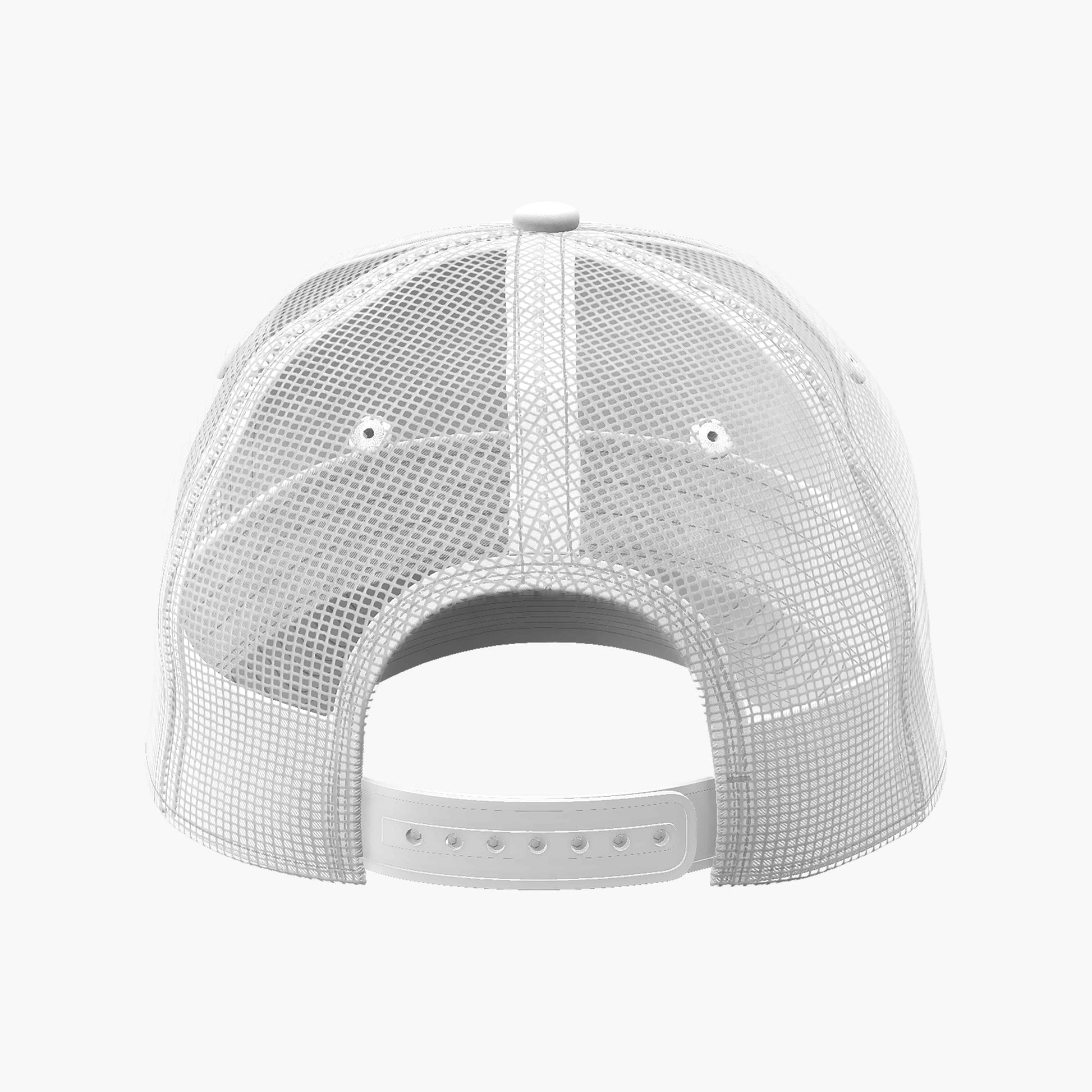 IR0953-100 image 2